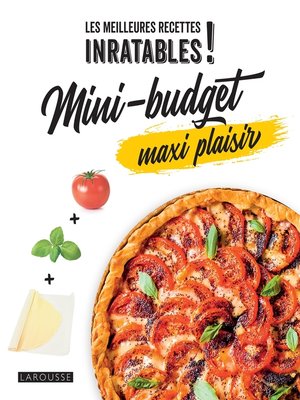 cover image of Mini-budget maxi plaisir